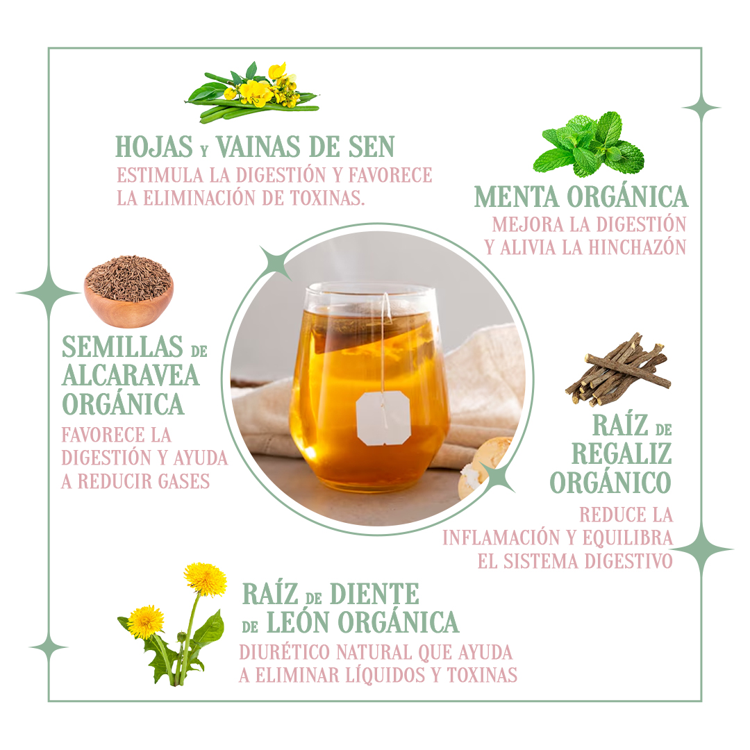 Té Adelgazante Nocturno